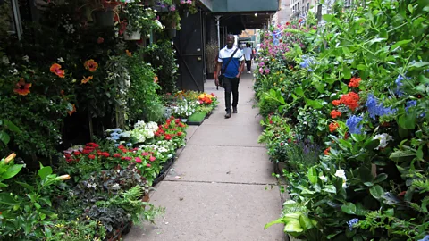The Documentary Podcast, New York's Flower Market: Things my Father Loved