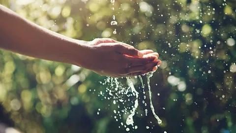 Witness History, Witness History, Mexico's miracle water