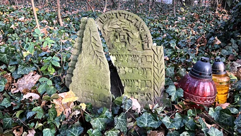 The Documentary Podcast, My Brexit Dilemma