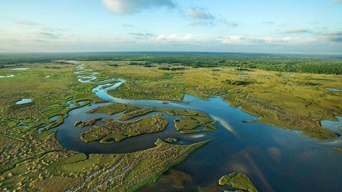 The Everglades is a very wet and marshy national park in South Florida.