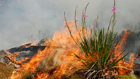 The world’s hottest hotspot