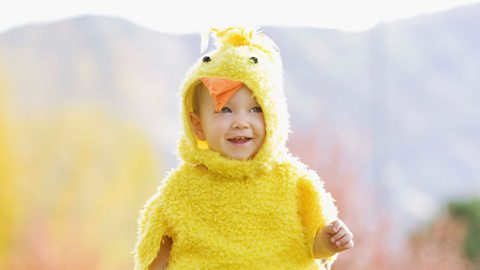 A toddler in a chick suit.