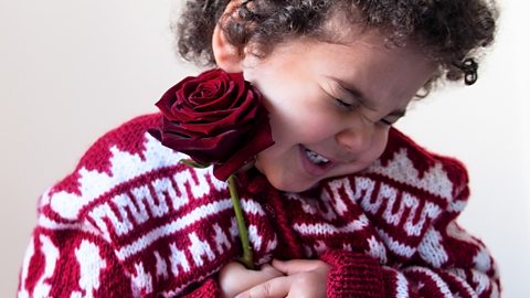 A toddler clutching a red rose.