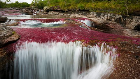 Colombia’s magical rainbow river