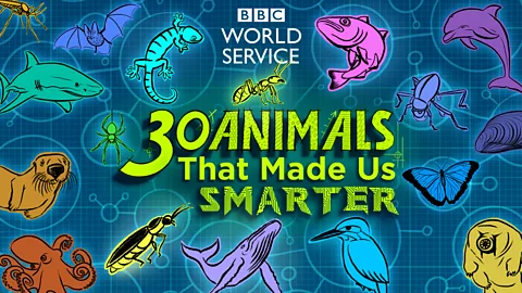 50 Things That Made the Modern Economy, 50 Things That Made the Modern Economy, Bonus: 30 Animals That Made Us Smarter