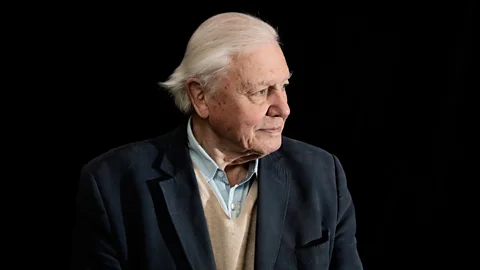 The Media Show, The Media Show, Attenborough's Netflix adventure