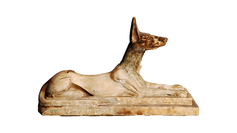 Anubis was linked to mummification and the afterlife.