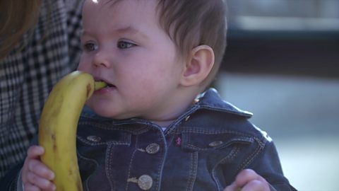 Baby chewing a banana