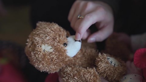 A hand pointing out the nose of a teddy bear.