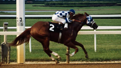 Sporting Witness, Sporting Witness, Secretariat - America's superstar racehorse