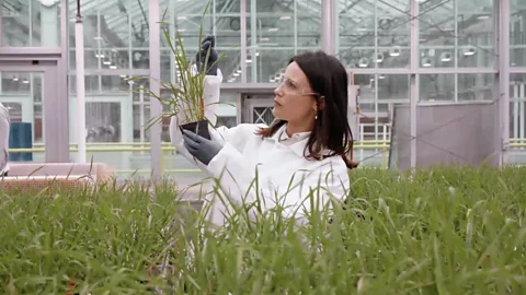 Screenshot 2019-06-12 at 17.17.24.png