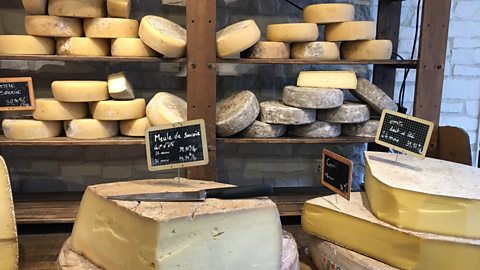 Shelves of cheese in a cheese shop.