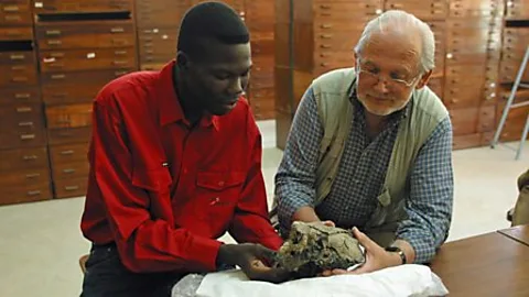 Witness History, Witness History, Humanity's earliest ancestor