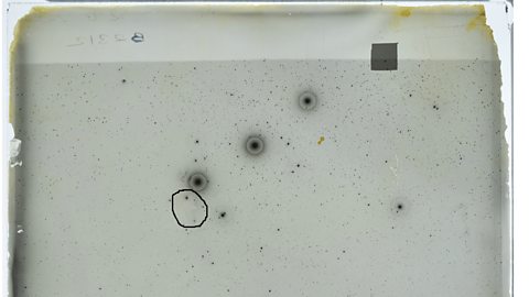 A photographic plate which gave Williamina the first clue about the Horsehead Nebula