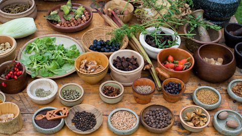 Table of medieval food including nuts seeds berries vegetables and pulses at a historical reenactment