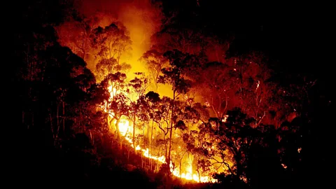 50 Things That Made the Modern Economy, 50 Things That Made the Modern Economy, Fire