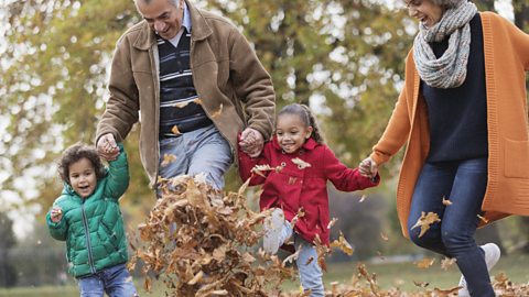 Grandparents kicking autumn leaves with two grandchildren