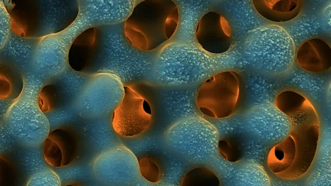 The stunning images that are invisible to the eye