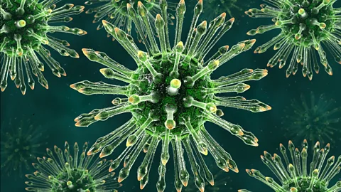 Witness History, Witness History, The first confirmed case of HIV in America