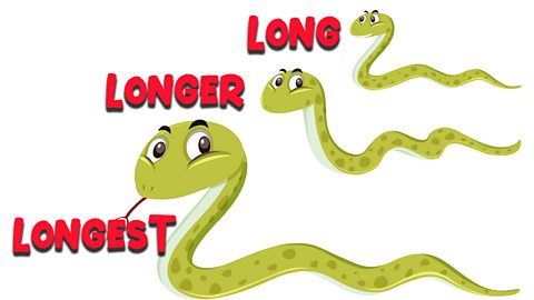 Three snakes of different lengths stacked one above the other labelled as long, longer and longest from top to bottom. 