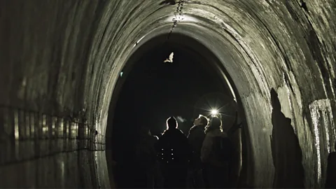 Nietoperek bat tunnels