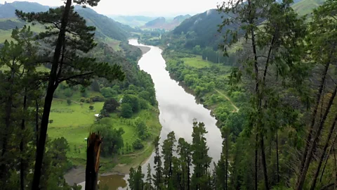 Whanganui River, New Zealand