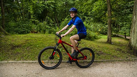 A person rides a red bike along a rocky path through a forest.