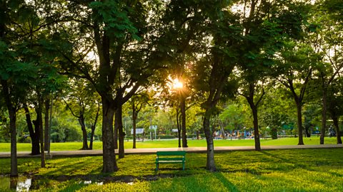 A photo of a park. There are lots of trees and bench next to a path.