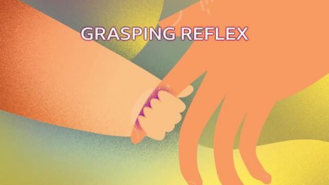 A baby's hand gripping a finger with the caption 'GRASPING REFLEX'.