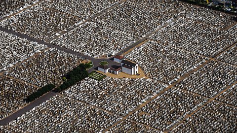 Judaism – East Ham Jewish Cemetery, London