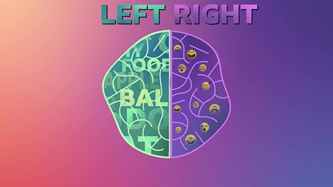 A graphic of a baby's brain with emotions on right and words on the left.