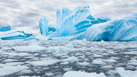 Witness History, Witness History, Saving Antarctica
