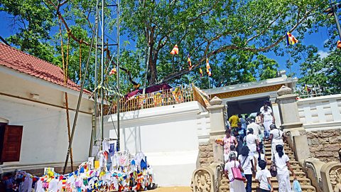 Buddhists visiting the Bodhi Tree