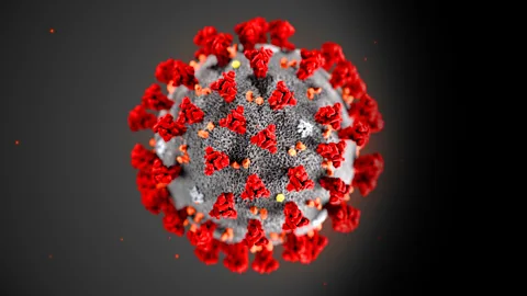 How did coronavirus start?
