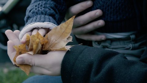 Dad and baby hands touching leaves.