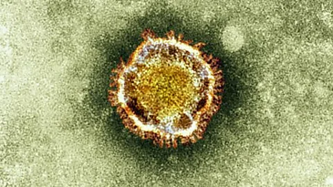 Witness History, Witness History, The SARS epidemic