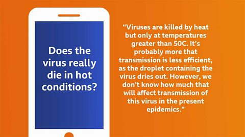 Does the virus really die in hot conditions