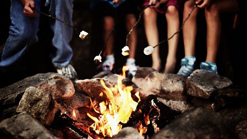 Children holding marshmallows over a campfire.