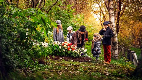 A forest burial