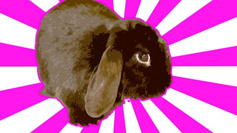 BBC Radio 4 Extra - Never Trust a Rabbit by Jeremy Dyson