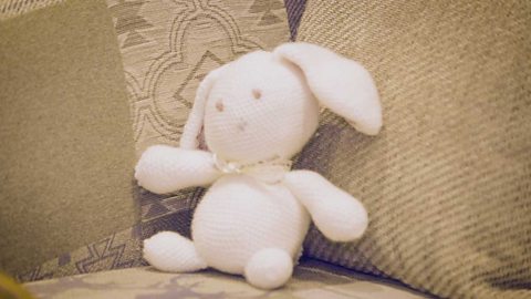 A stuffed rabbit toy.