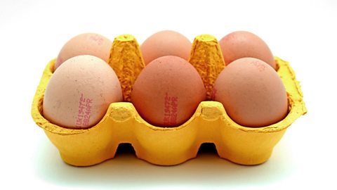 A carton of six chicken eggs