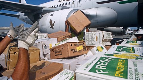 Boxes of pineapples being loaded on to a cargo plane