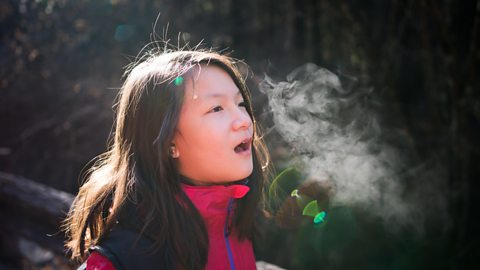 A girl breathing on a cold day. Her breath is visible.