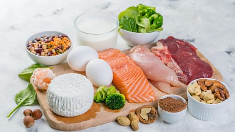 A variety of protein sources: beans, milk, leafy greens, cheese, eggs, fish, meat and nuts