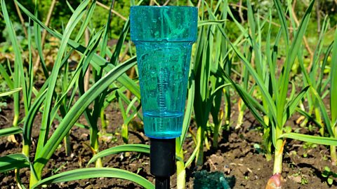 A rain gauge