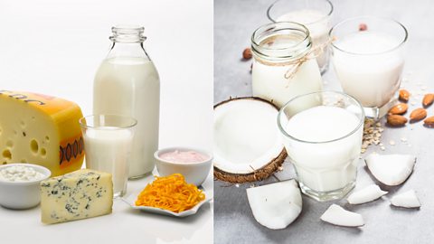 Various dairy and non-dairy products such as milk and cheese 