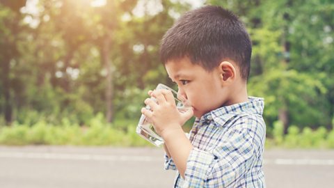 Child drinking water on a sunny day