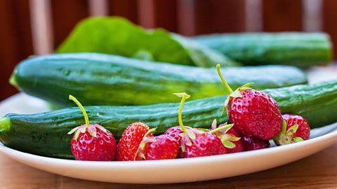 Strawberries and cucumbers