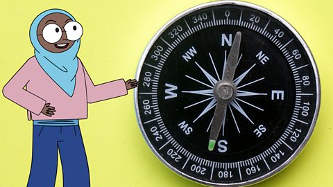 A compass showing 8 points: north, north-east, east, south-east, south, south-west, west and north-west.